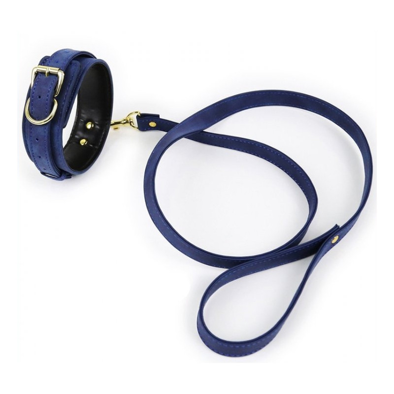 Generique Collier et Laisse Lighty Bleu
